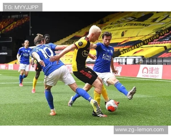 拜仁与霍芬海姆比赛因意外情况中断球迷期待重赛时刻